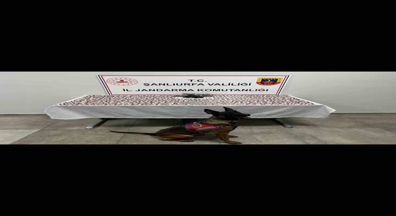 Şanlıurfada uyuşturucu operasyonu: 2 gözaltı