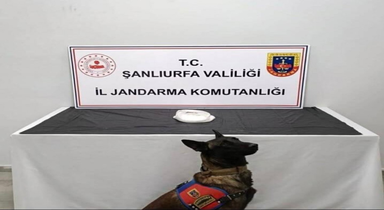 Şanlıurfada uyuşturucu operasyonu: 2 gözaltı