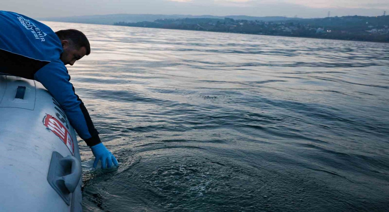 Sapanca Gölündeki kabarcıkların sebebi belli oldu: Yeraltından doğal hava çıkışı