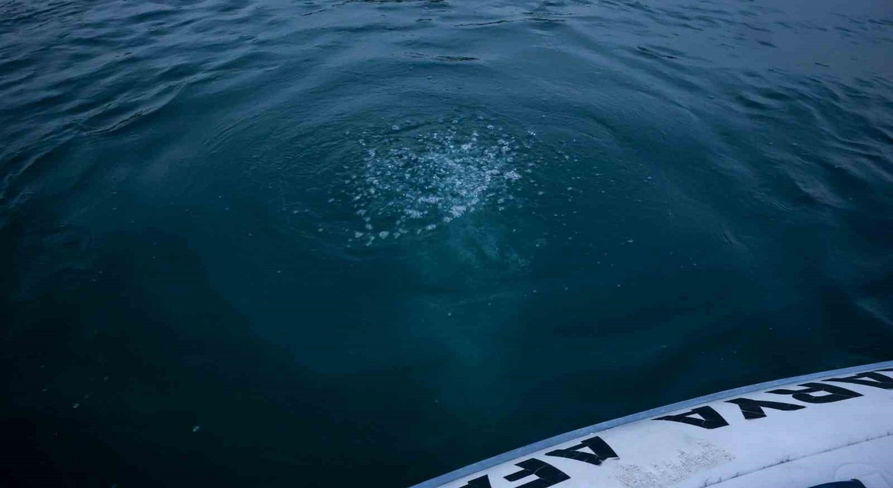 Sapanca Gölündeki kabarcıkların verdiği endişe artıyor: Herkes korkuyor, rahat uyuyamıyoruz