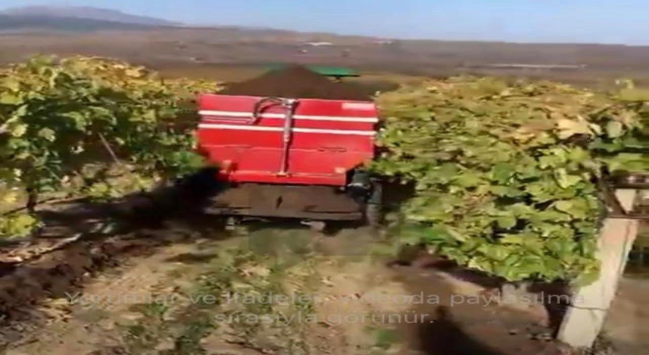 Sarıgölde bağlara kışlık doğal gübre verilmeye başlandı