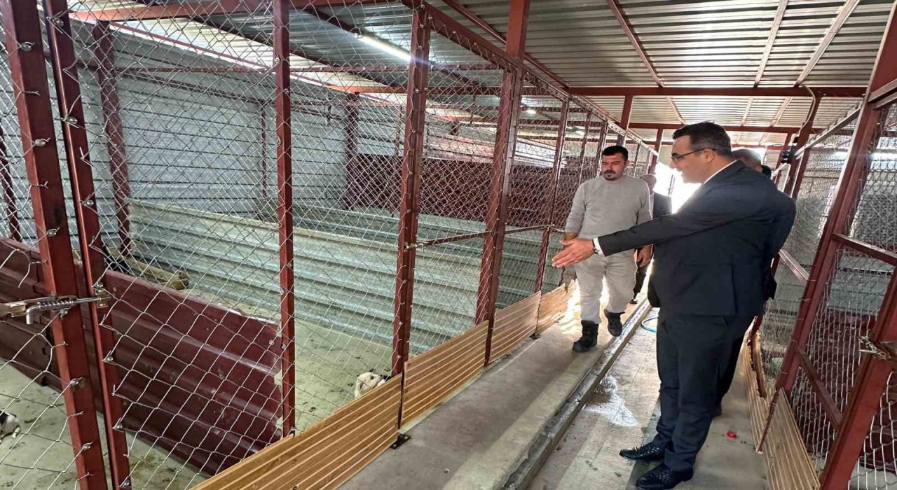 Sarıgölde hayvan bakım hizmetlerine yakın takip