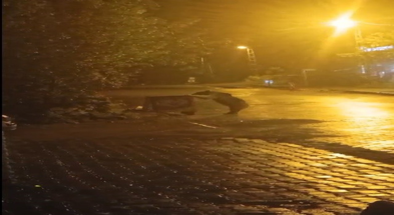 Sarıkamışta ayılar kış uykusunu unuttu