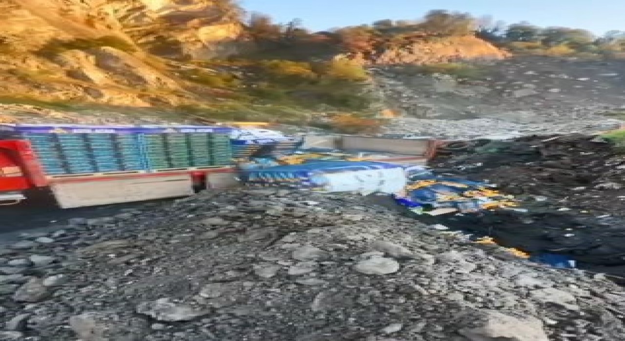 Sarp Sınır Kapısında 6 ton mandalina imha edildi: Zirai ilaç kalıntısı tespit edildi