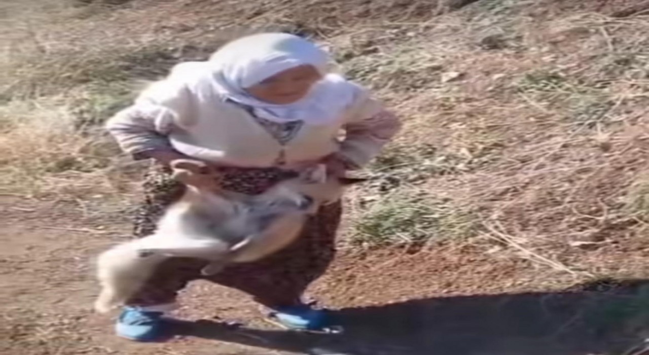 Sasonun cesur ninesi Tayyibe Nine hayatını kaybetti