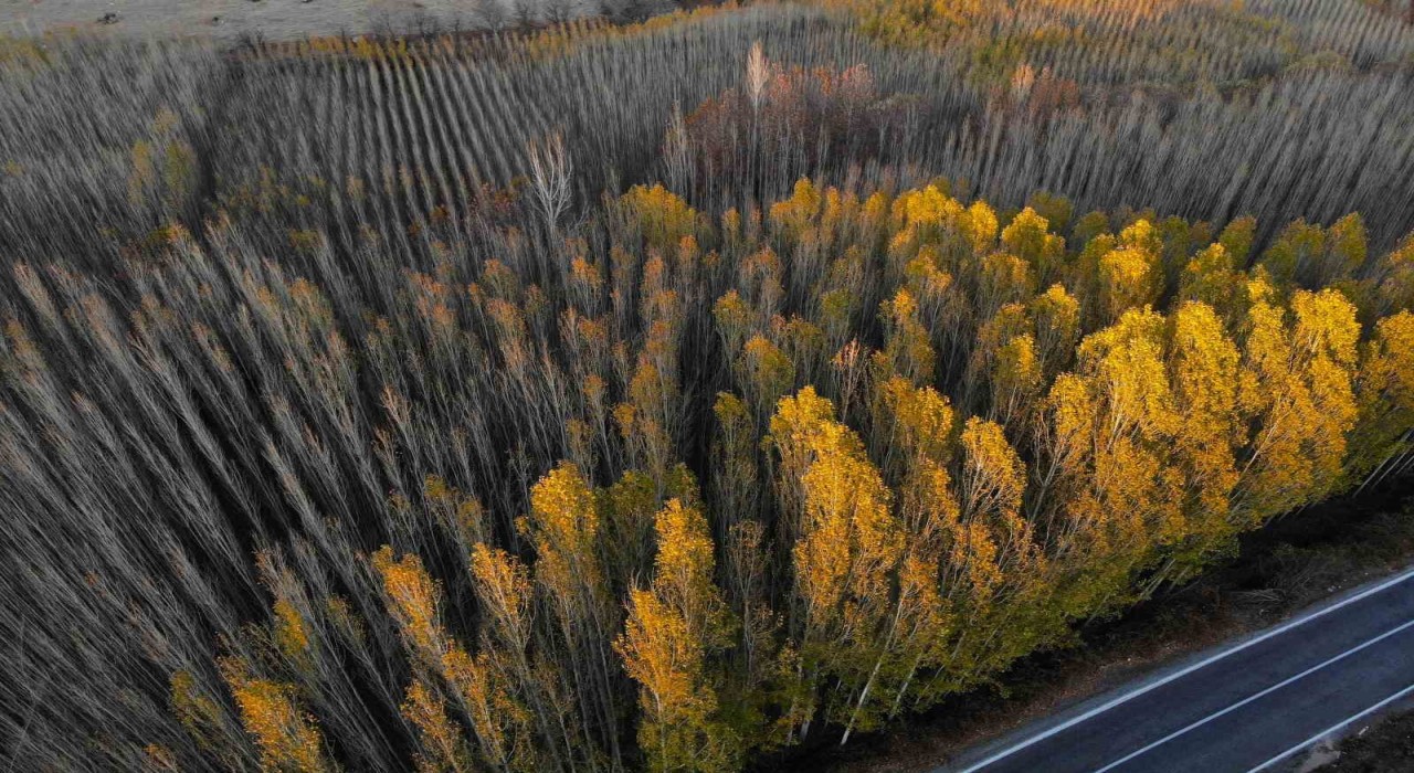 Savur, doğal güzelliğiyle ziyaretçileri mest ediyor