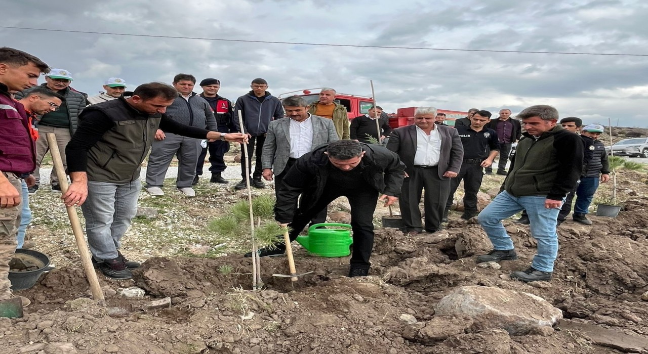 Selendide 800 fidan toprakla buluşturuldu