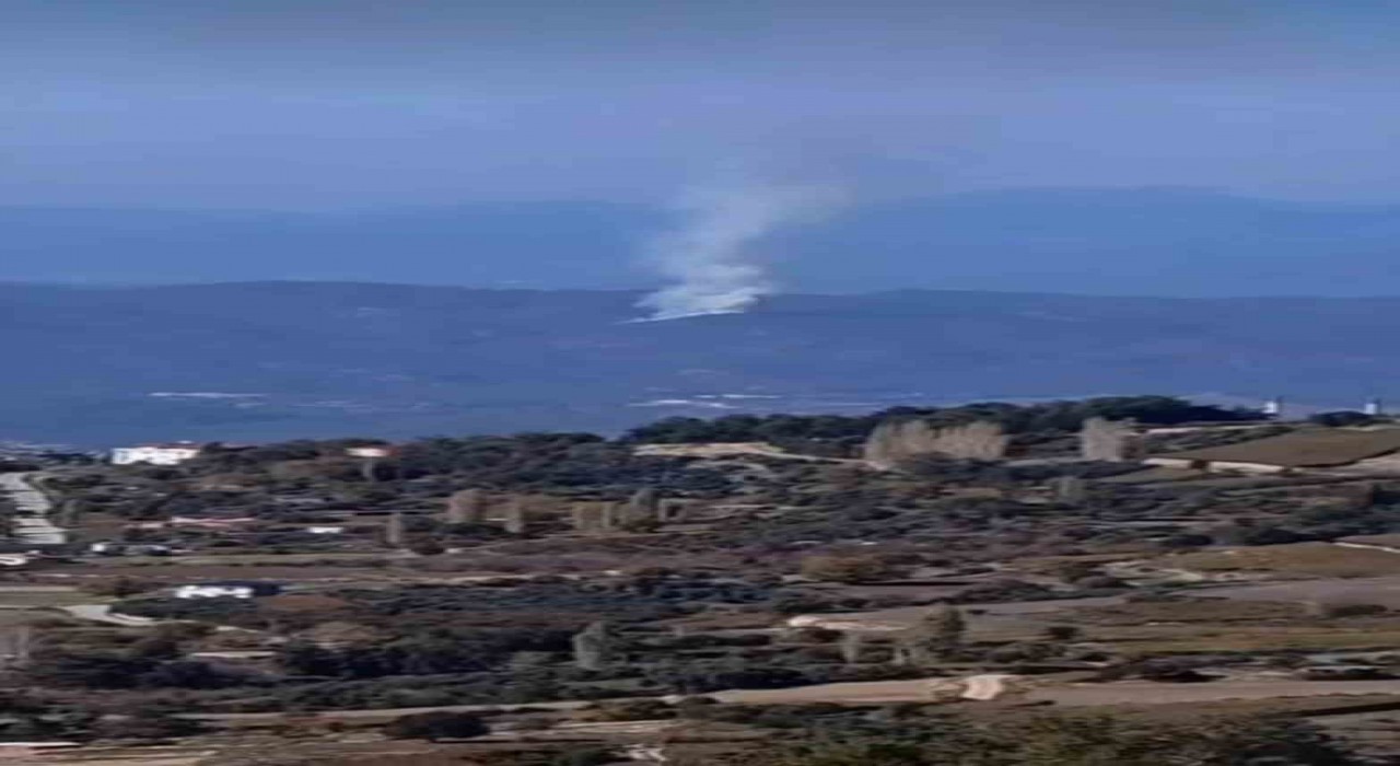 Seydikemerde orman yangını