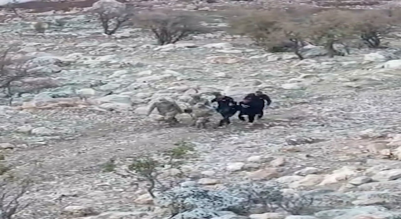 Siirtte araç şarampole yuvarlandı: 1i ağır 4 yaralı