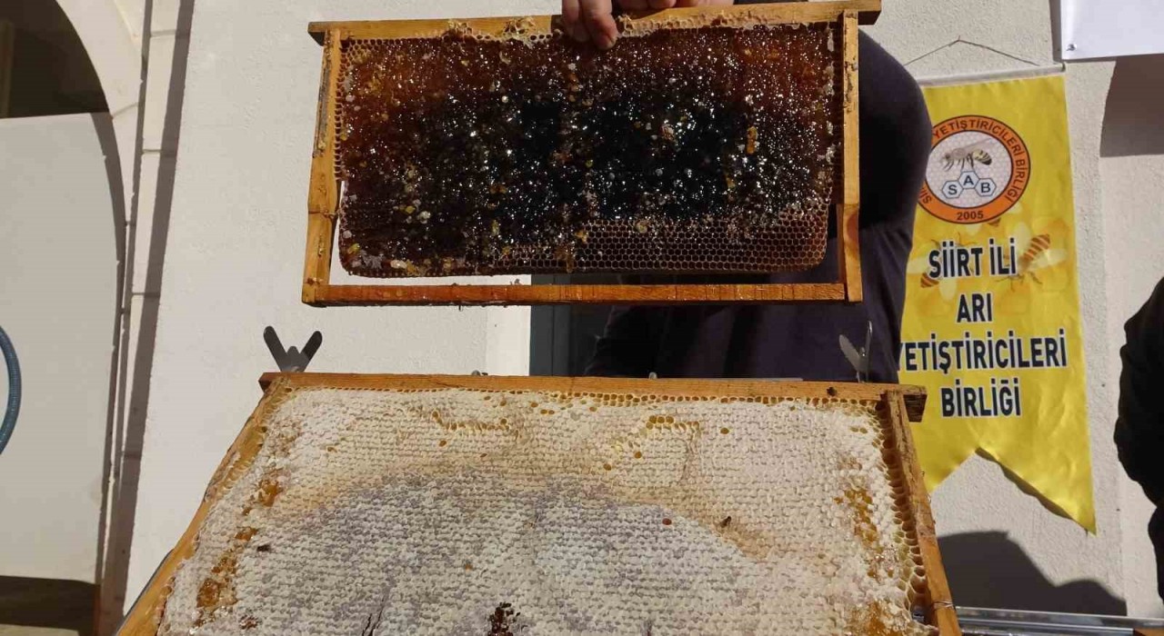 Siirtte arıcılara 41 milyon 436 bin liralık destek