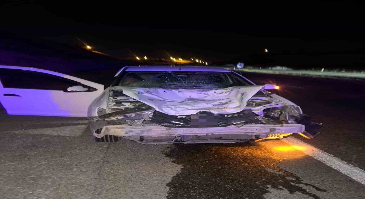 Siirtte otomobilin çarptığı at telef oldu