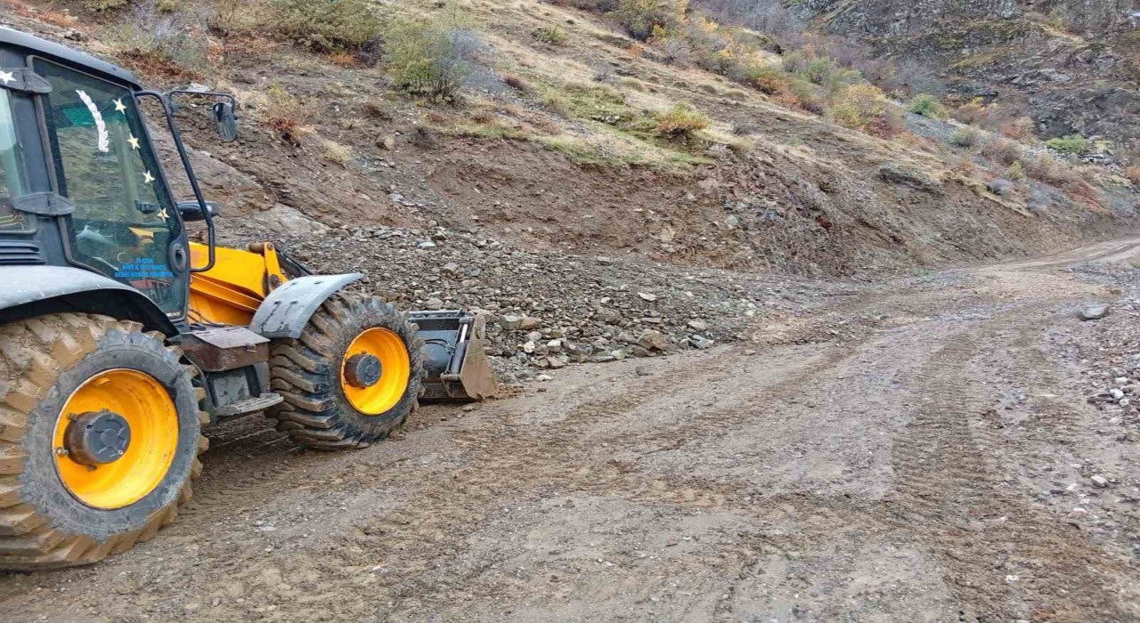 Siirtte sağanak yağış heyelana neden oldu