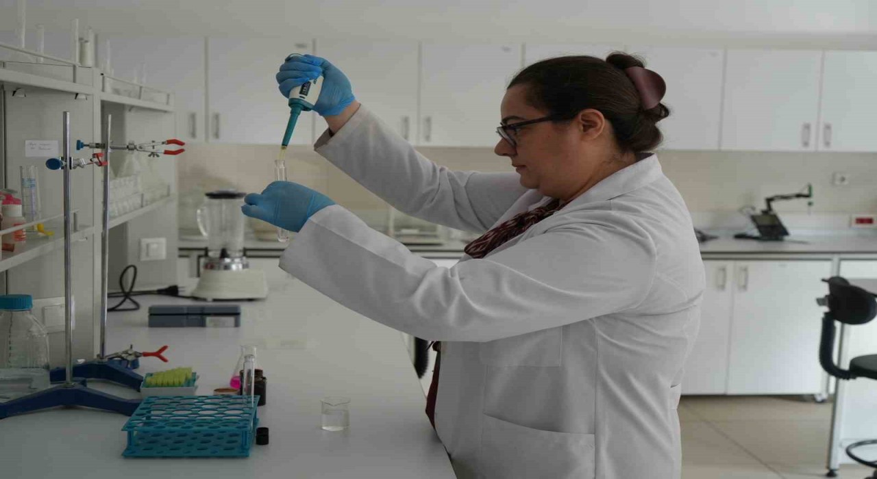 Sık sık gündeme gelen zehirlenmelerle ilgili uzmanlardan hayati uyarılar: Denetlenen işletmeleri tercih edin