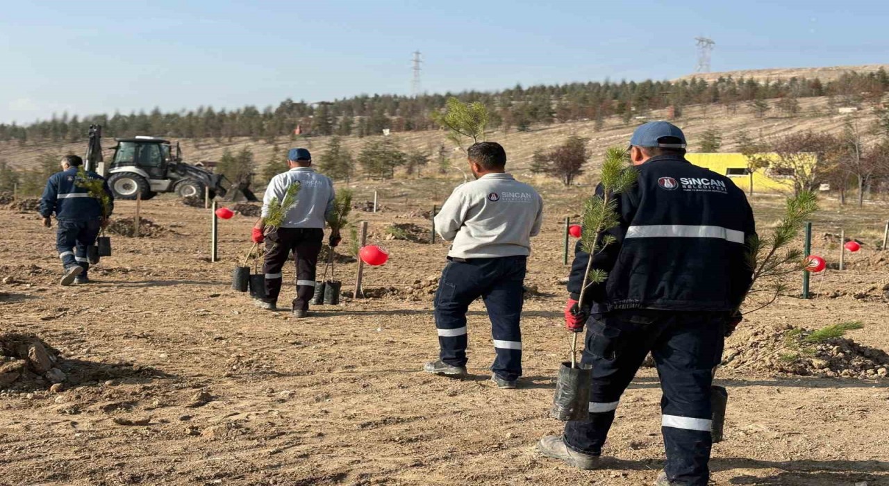 Sincan Belediyesinden kadına yönelik şiddete karşı anlamlı etkinlik