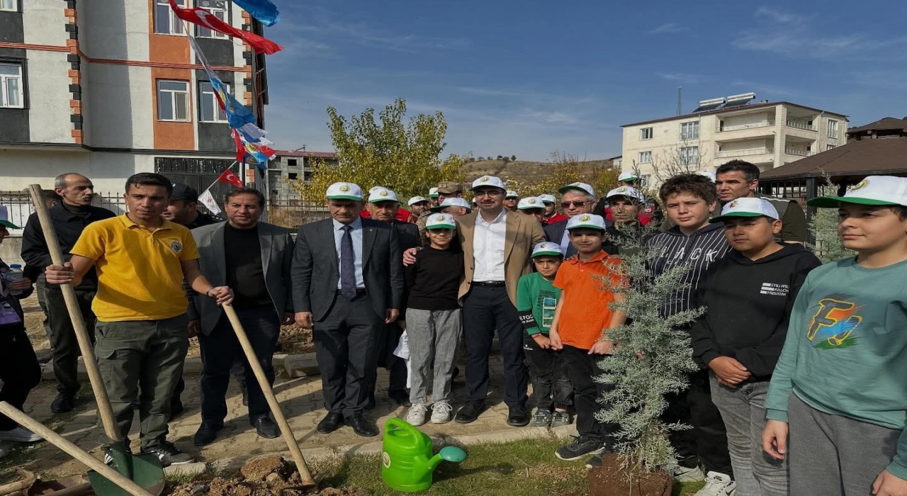 Sincikte fidanlar toprakla buluştu