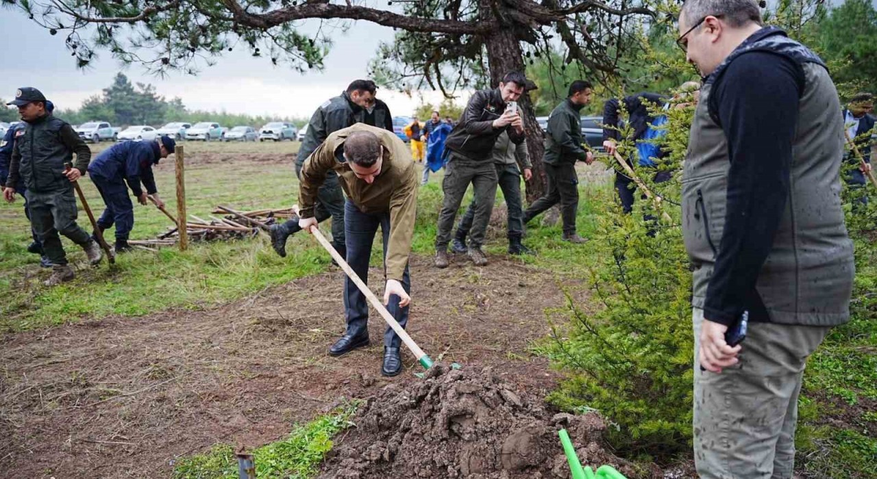 Sındırgıda Milli Ağaçlandırma Gününde fidanlar toprakla buluştu