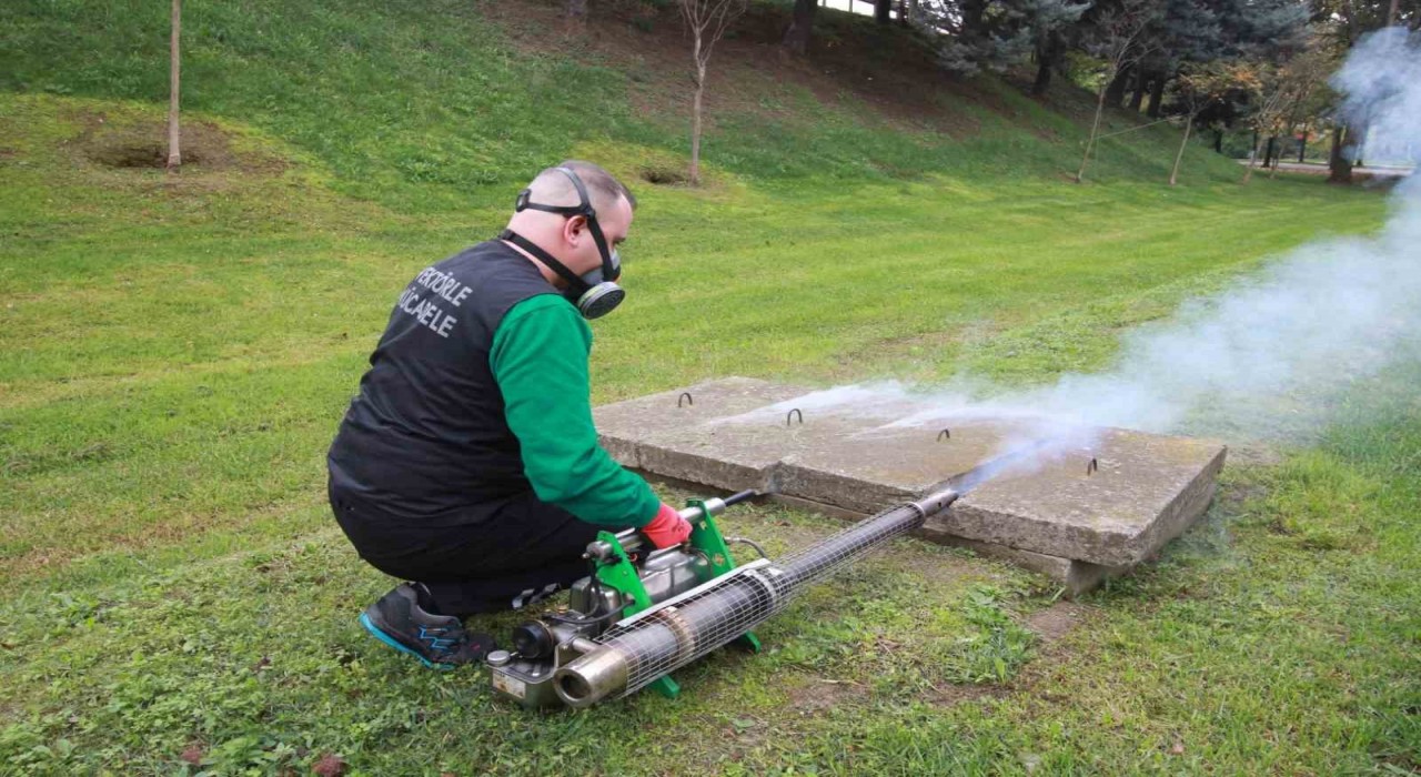 Sinekle mücadelede kışlık uygulama modeline geçildi