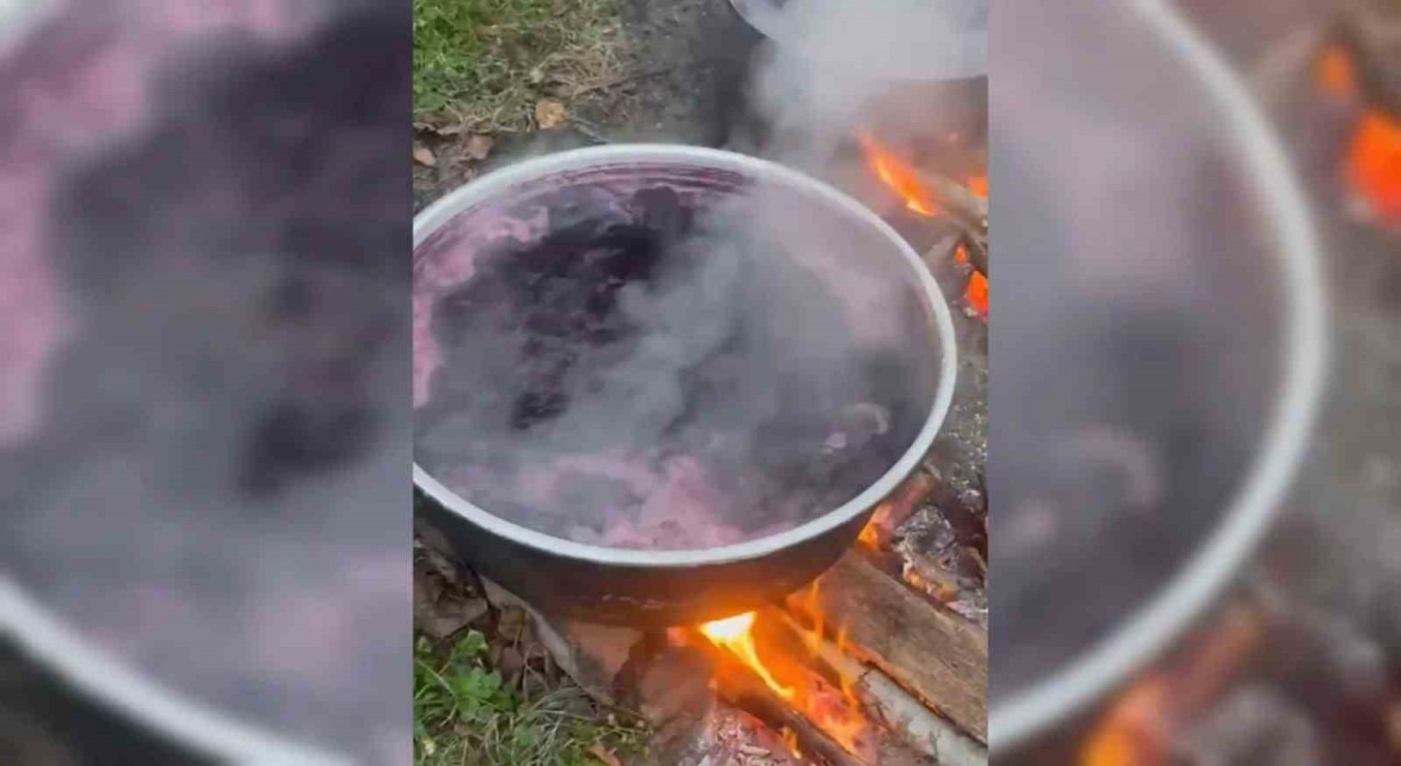 Sinop köylerinde kazanlar kaynıyor: Kışlık pekmez mesaisi