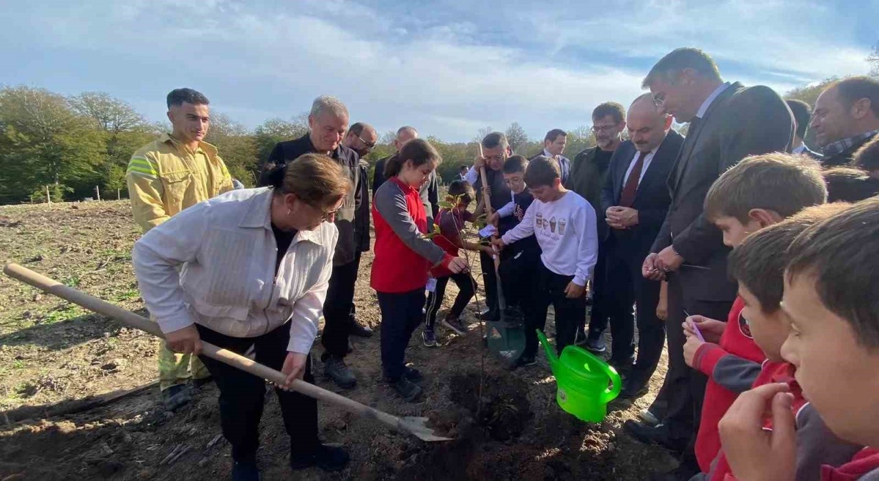 Sinopta 3 bin 860 fidan toprakla buluştu