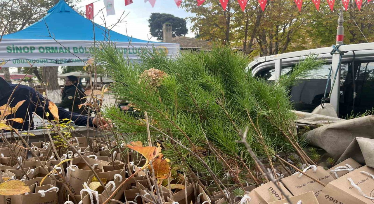 Sinopta vatandaşlara fidan dağıtıldı