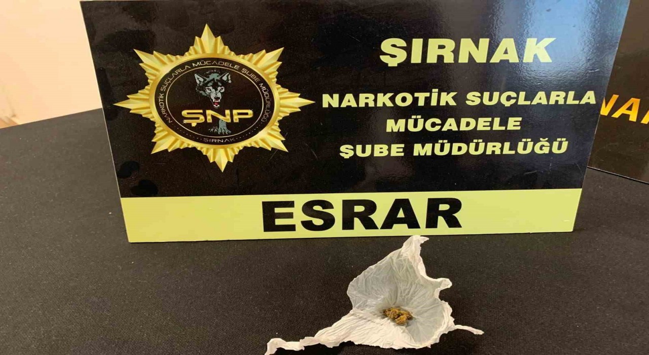 Şırnakta 5 milyon liralık kaçak malzeme ele geçirildi