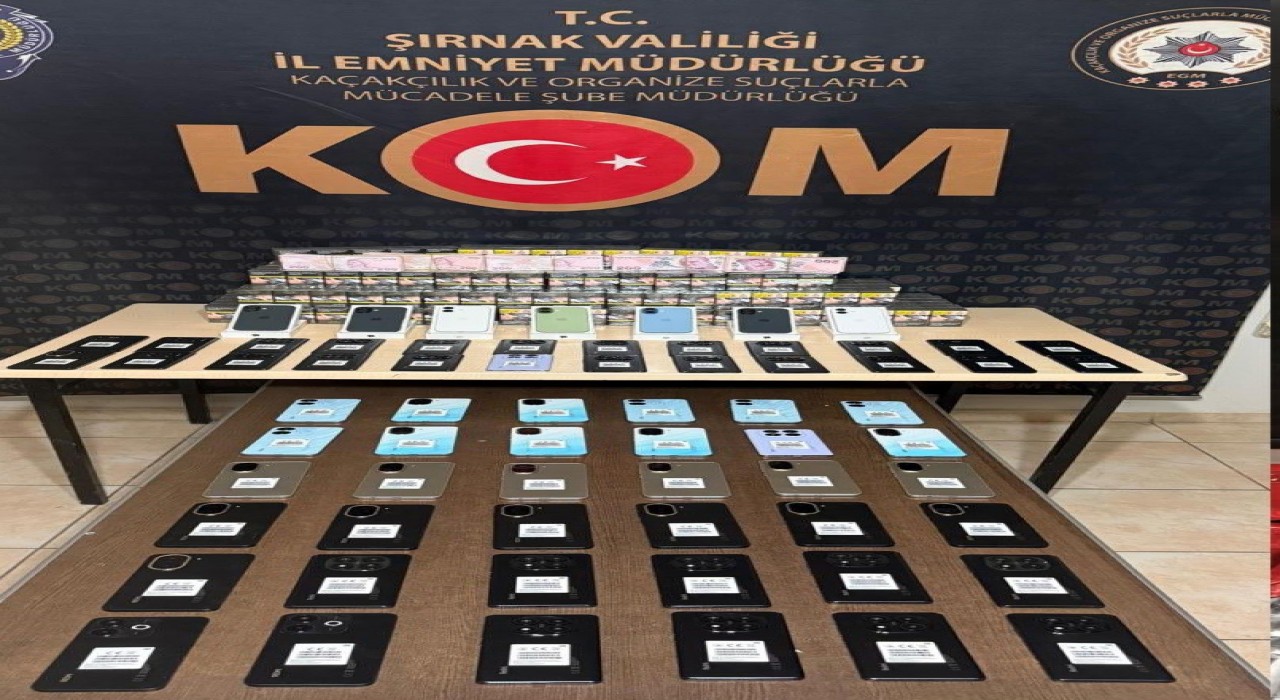 Şırnakta kaçakçılığa darbe: 2 milyon liralık kaçak ürün ele geçirildi