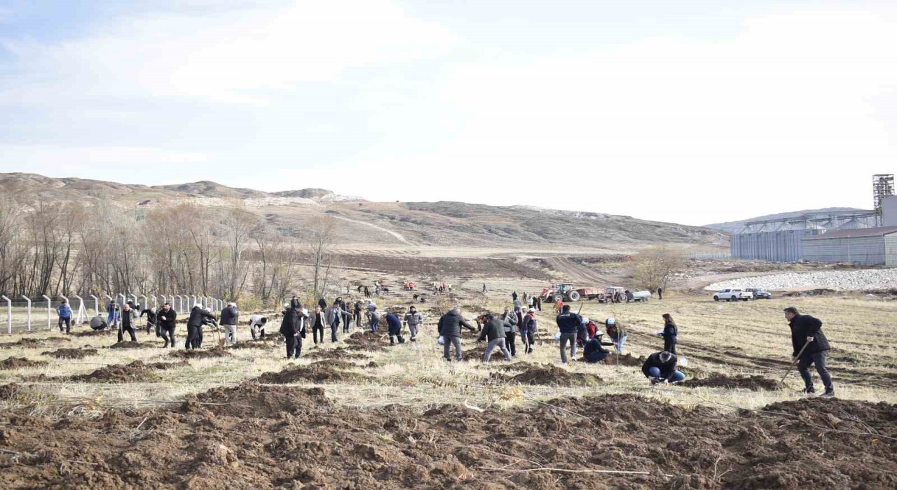 Sivas OSBde yeşil dönüşüm binlerce fidan toprakla buluşuyor