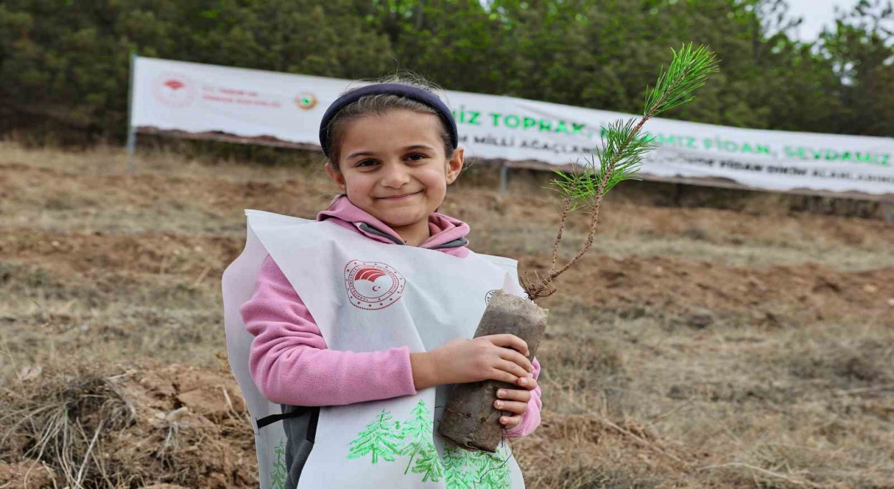 Sivasta 90 bin fidan toprakla buluştu