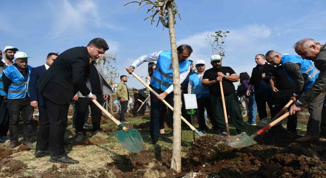 Siverekte fidanlar geleceğe nefes olacak