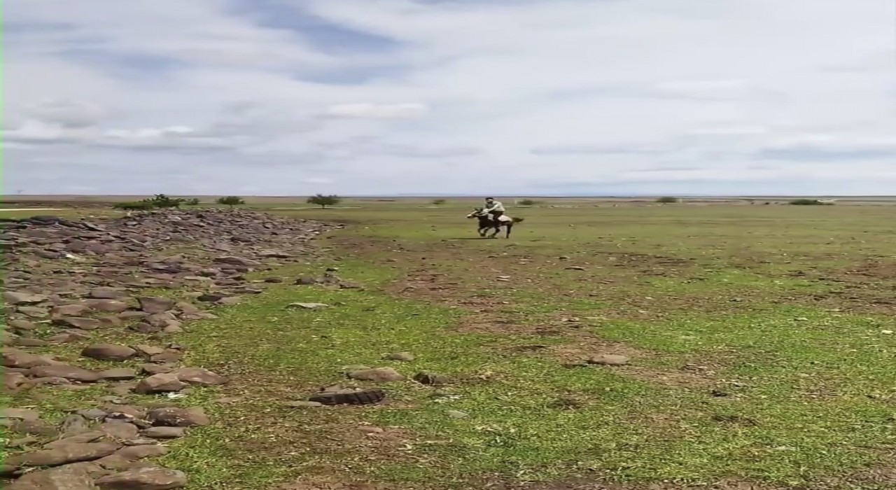 Siverekte ilginç anlar kameraya yansıdı