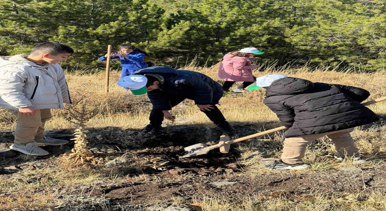 Sivricede fidan dikme etkinliği düzenlendi