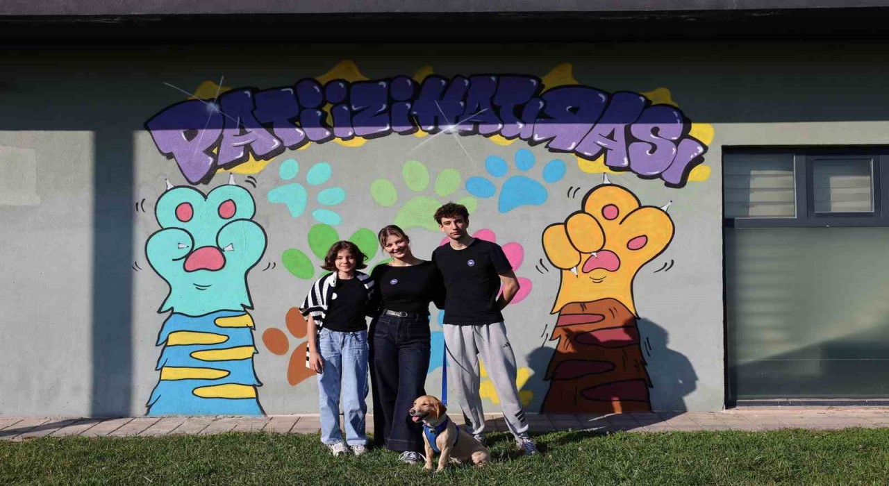 Sokaktan sıcacık yuvaya: ‘Pati İzinde 500 can dost yeni hayatına kavuştu