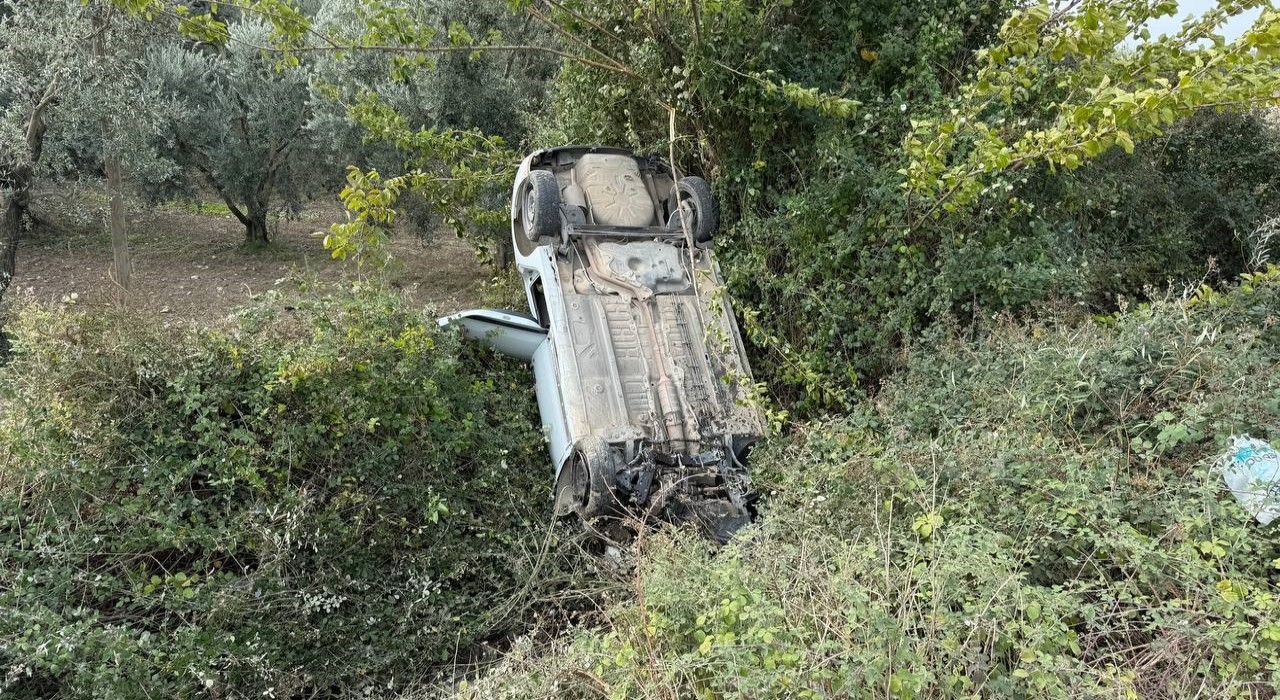 Sollama yaparken zeytinliğe uçtu