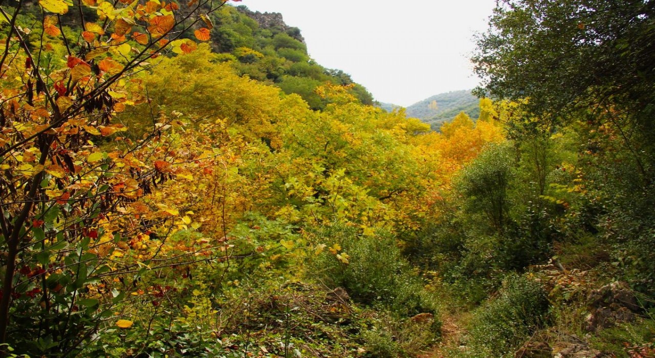 Sonbaharın güzelliğine bürünen Koçak Kanyonuna dikkat çektiler