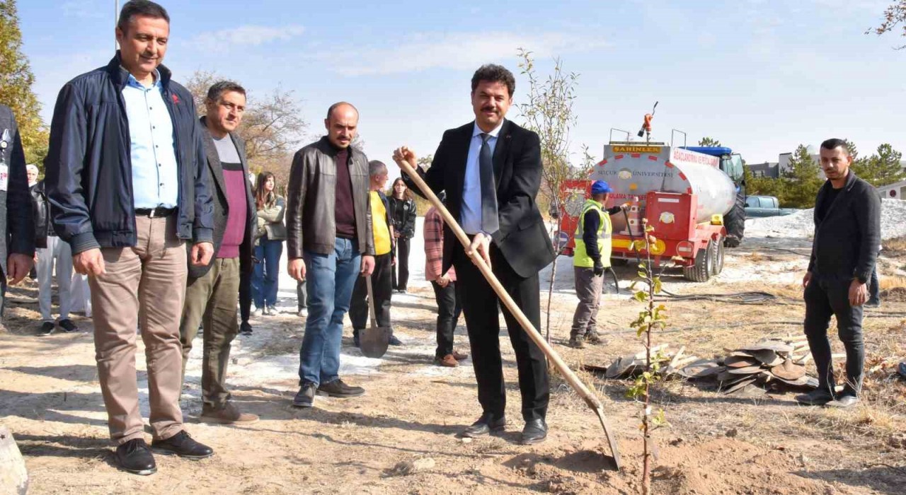 SÜde Milli Ağaçlandırma Gününde yüzlerce fidan dikildi