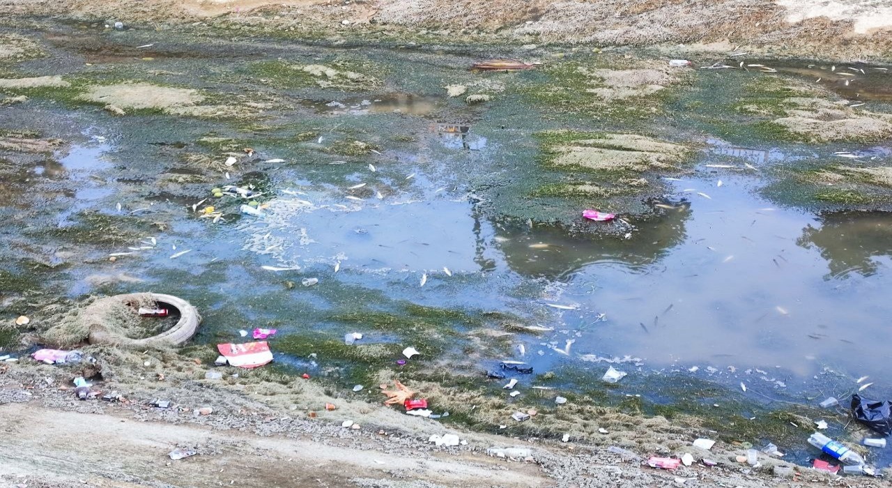 Sulama kanalındaki balıklar telef olmaya devam ediyor