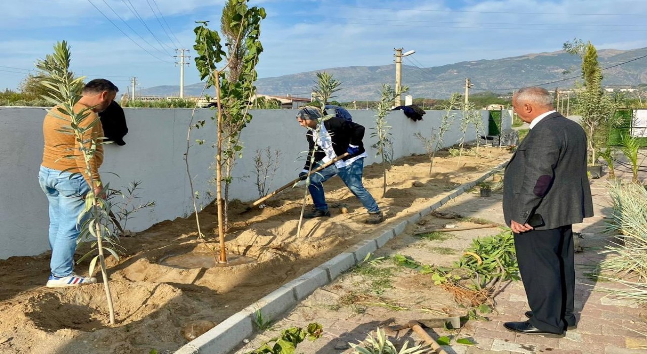 Sultanhisarda can dostları için yeşil dokunuş