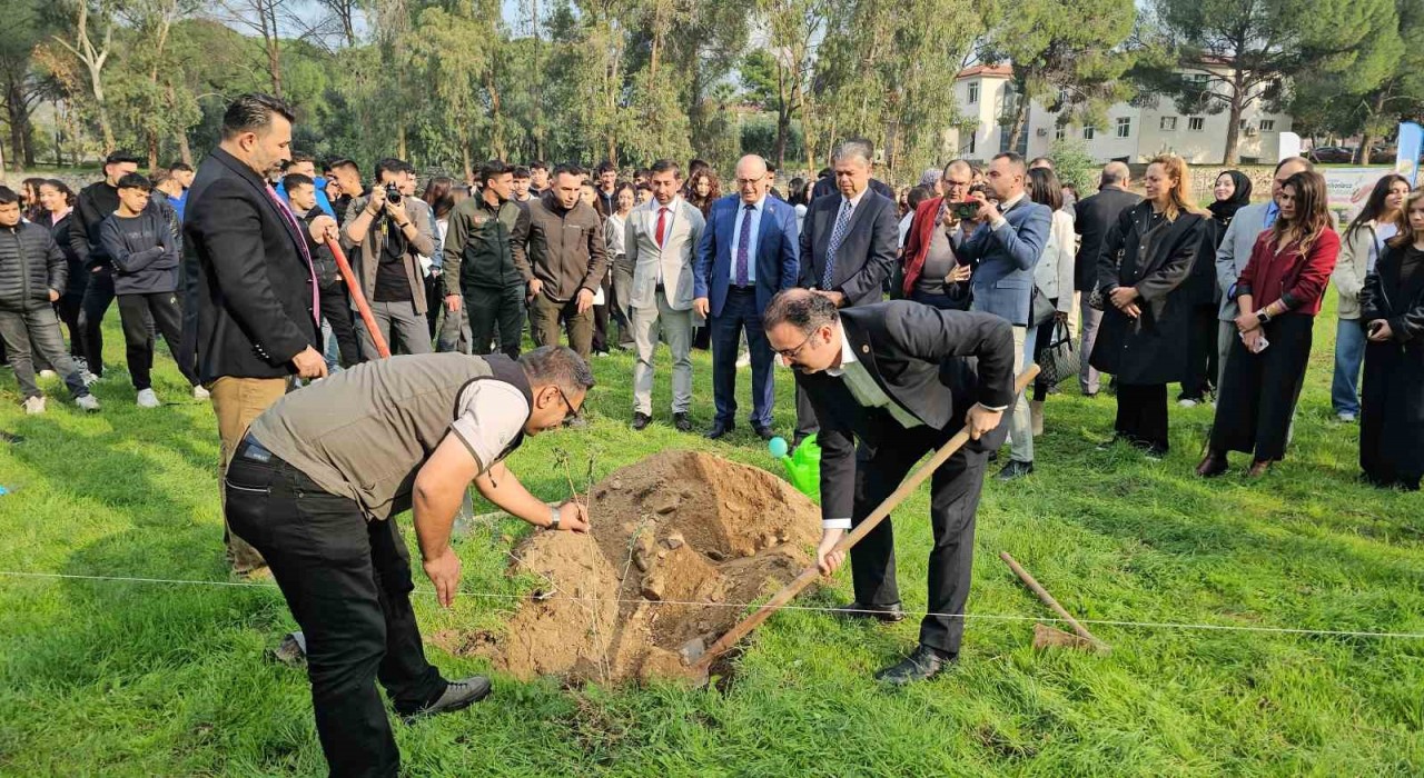 Sultanhisarda fidanlar toprakla buluştu