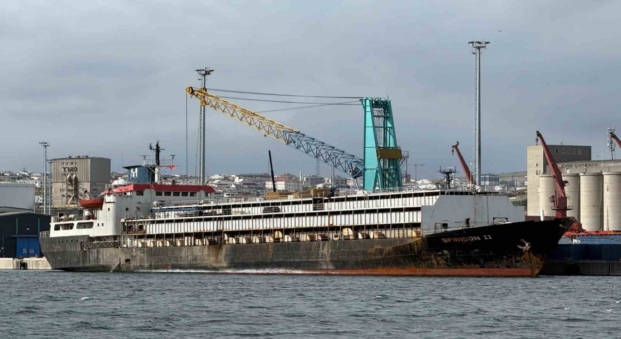 Tahliye yasağı, telef olan hayvanlar ve kötü koku: Spiridon 2 krizi derinleşiyor