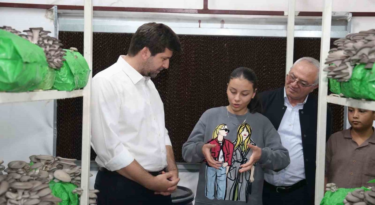 Tarsusta istiridye mantarı kursunda ilk hasat sevinci