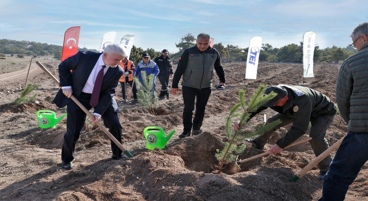 TEIden 17 bin fidanlık 40. Yıl Hatıra Ormanı