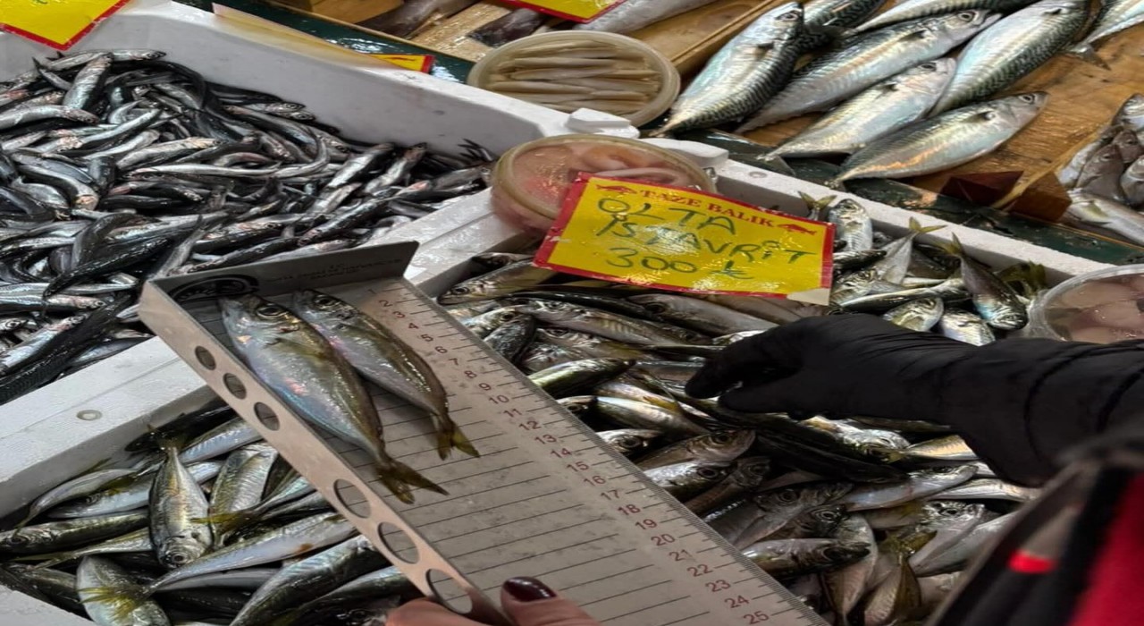 Tekirdağda balık tezgahlarına sıkı denetim: Boy ölçümleriyle sürdürülebilir avcılığa destek