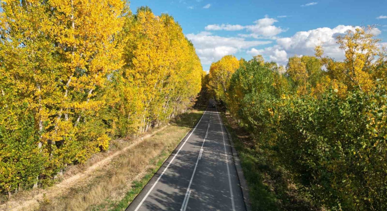 Tokatta belediyenin yaprakları temizlemediği parklarda renk cümbüşü oluştu