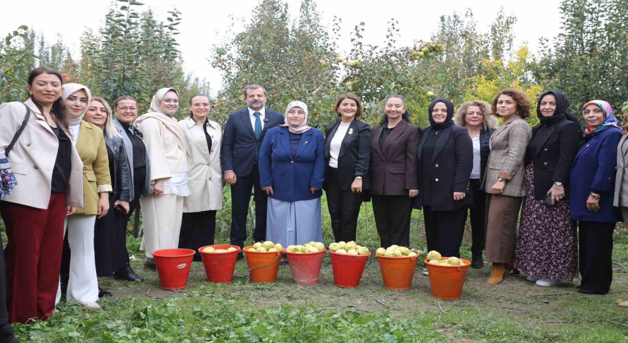Topuklu iş kadınları ile şalvarlı köylü kadınları aynı tarlada