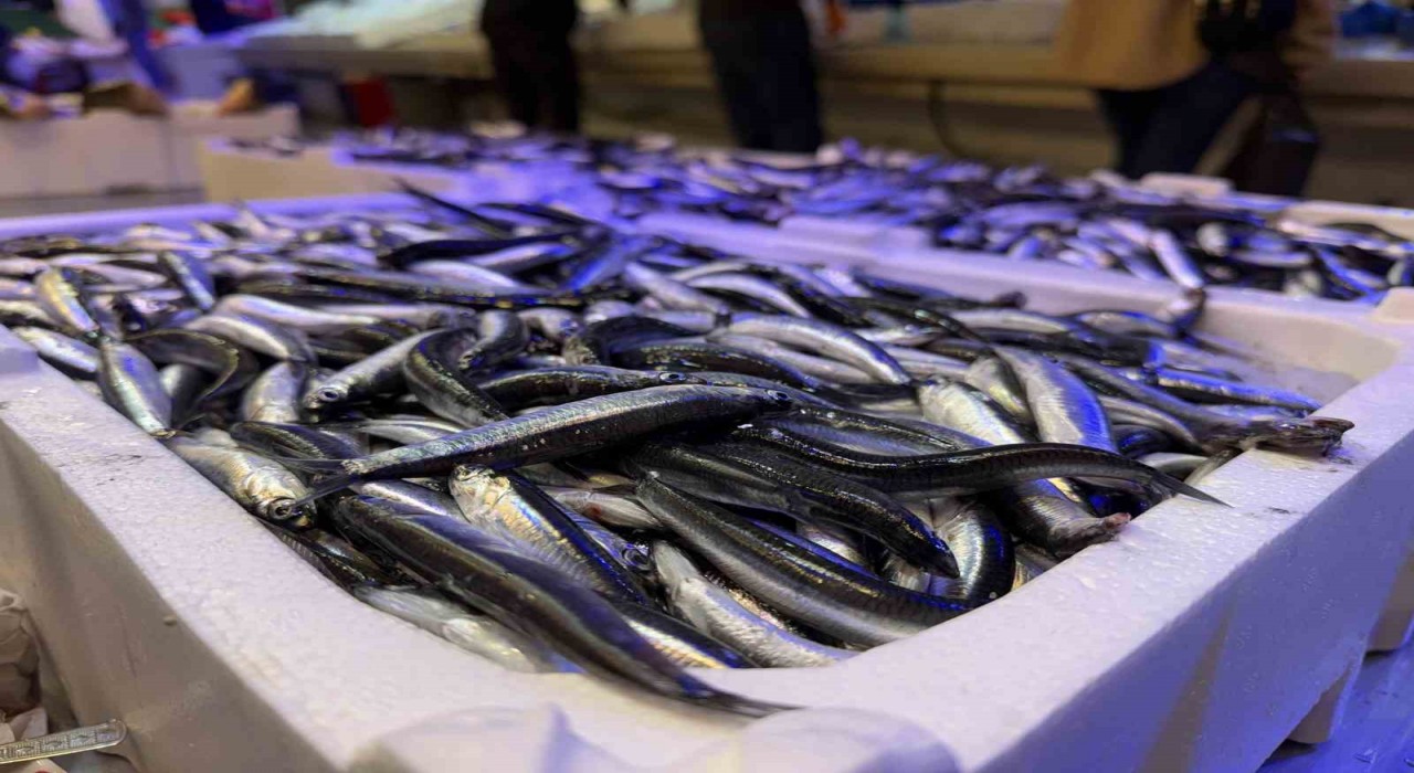 Trabzondan gelen taze balıklar Erzincanda ilgi görüyor