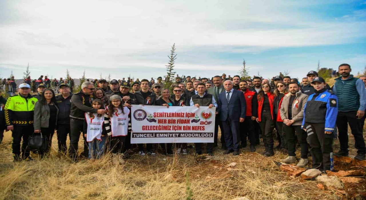 Tuncelide 3 bin fidan toprakla buluştu