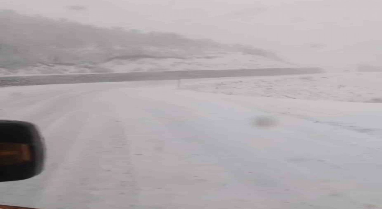 Tuncelide, kar yağar yağmaz mücadele başladı