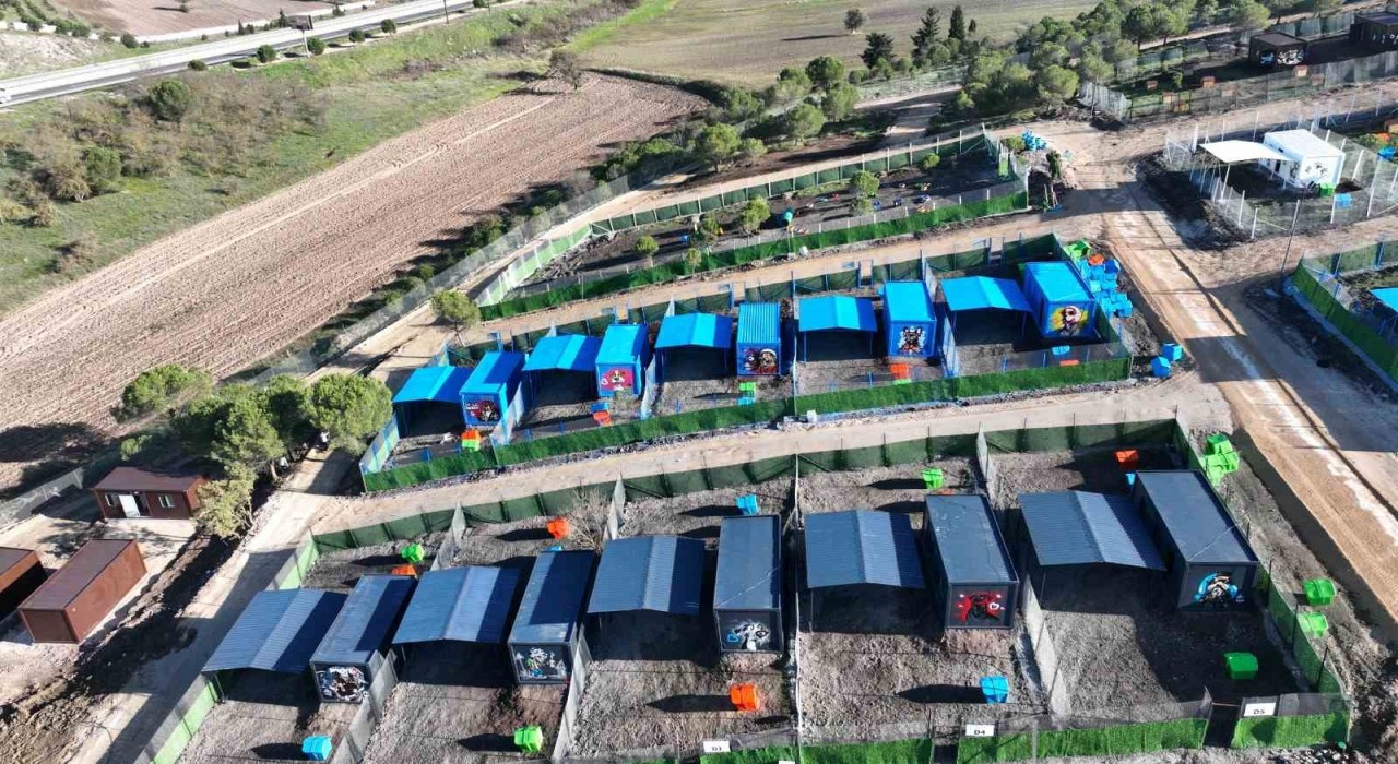 Türkiyede ilk defa özel can dostlara sıcak yuva Balıkesirde