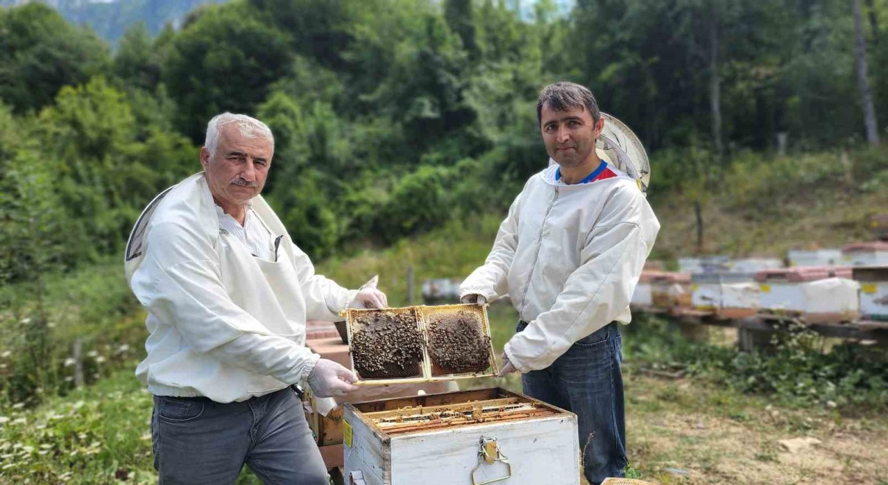 Türkiyenin AB tescilli 43üncü ürünü Yenice ıhlamur balı oldu
