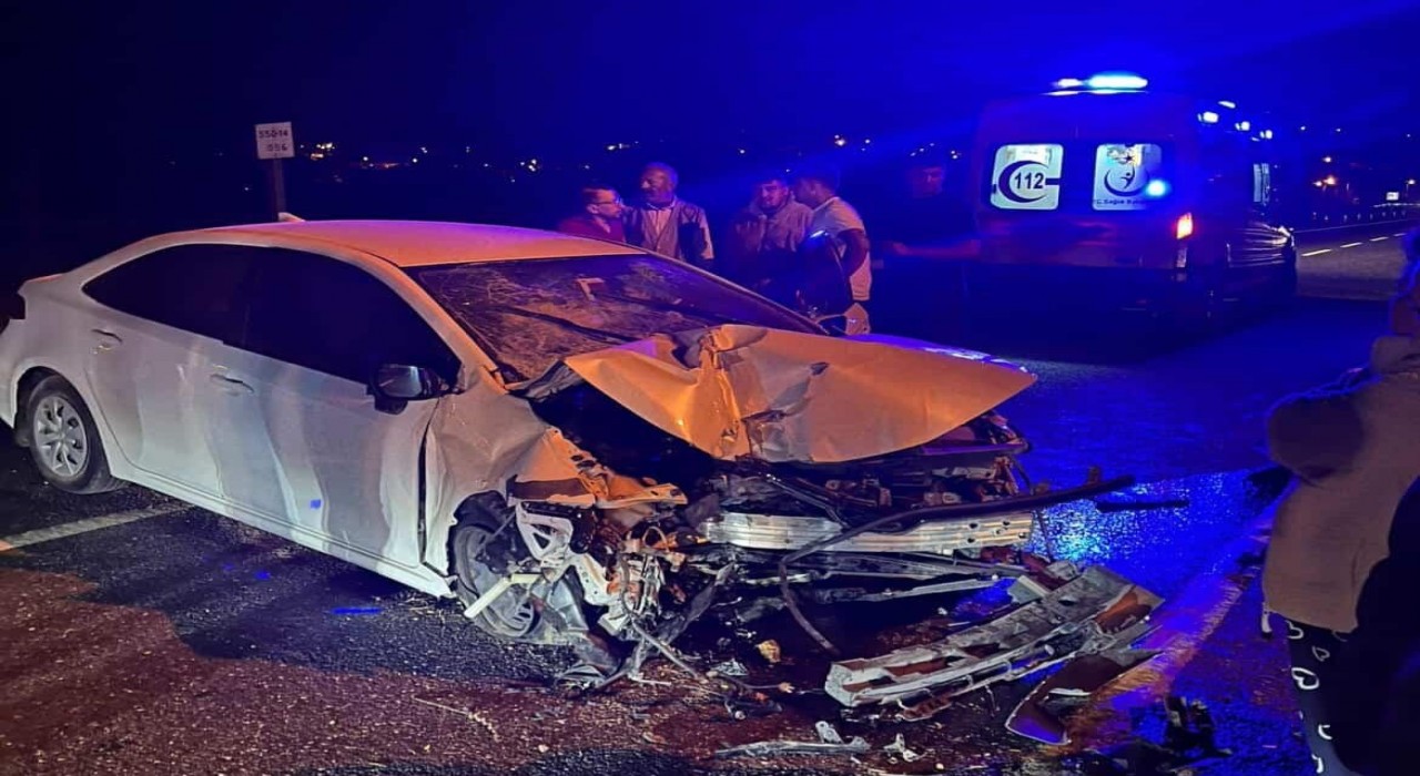 Uladaki kazada ağır yaralanan kadın hayatını kaybetti